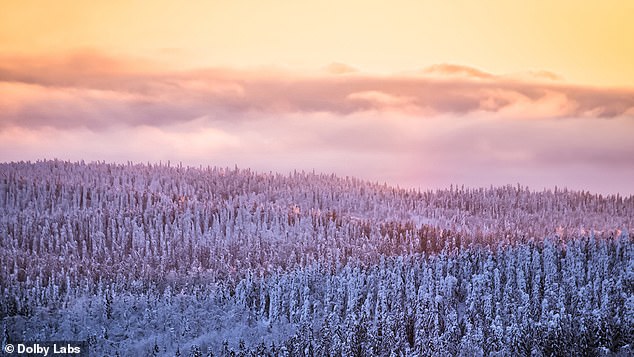 Als nächstes folgt der Dawn Chorus des Suvasvesi-Sees in Finnland, wo die Sommersonne nie untergeht und ein endloser Chor von Prachttauchern entsteht
