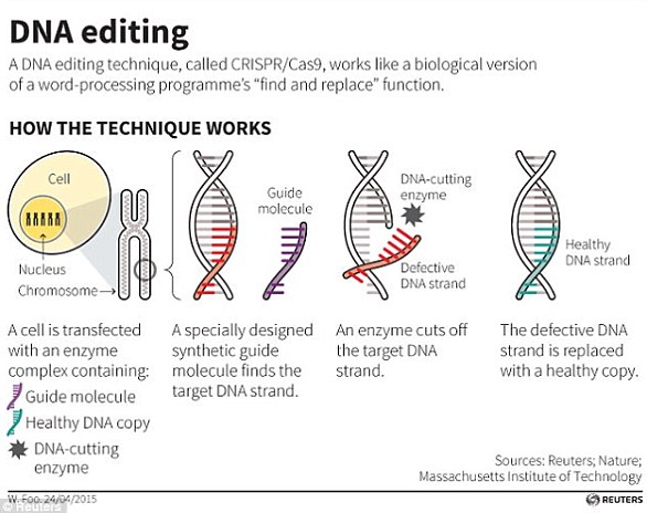 Die CRISPR/Cas9-Technik verwendet Markierungen, die den Ort der Mutation identifizieren, und ein Enzym, das als winzige Schere fungiert, um DNA an einer präzisen Stelle zu schneiden, sodass kleine Teile eines Gens entfernt werden können