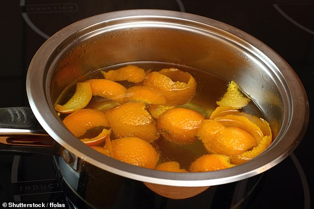 Wenn in Ihrem Garten kein Platz für einen Komposthaufen vorhanden ist, können Sie trotzdem von Orangenschalen profitieren, indem Sie eine Art Orangenschalen-„Tee“ zubereiten.