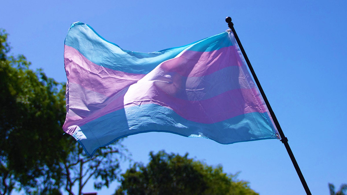 Transgender-Stolz-Flagge