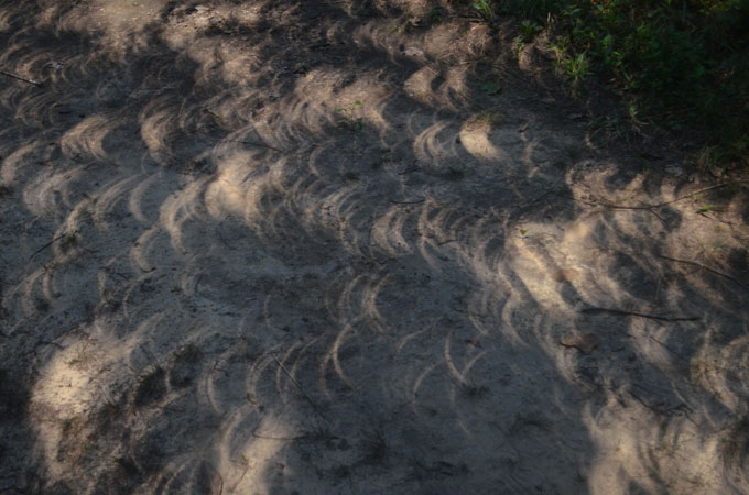 A photo showing shadow crescents on the ground during a total solar eclipse