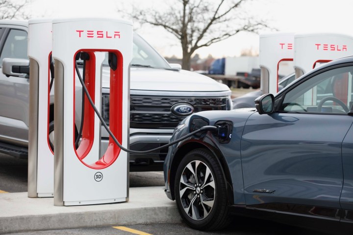 Ford-Elektrofahrzeuge an einer Tesla-Supercharger-Station.