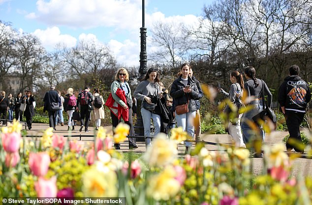 An einem sonnigen Frühlingstag, dem 30. März 2024, laufen Menschen im Hyde Park in London an Frühlingsblumen vorbei