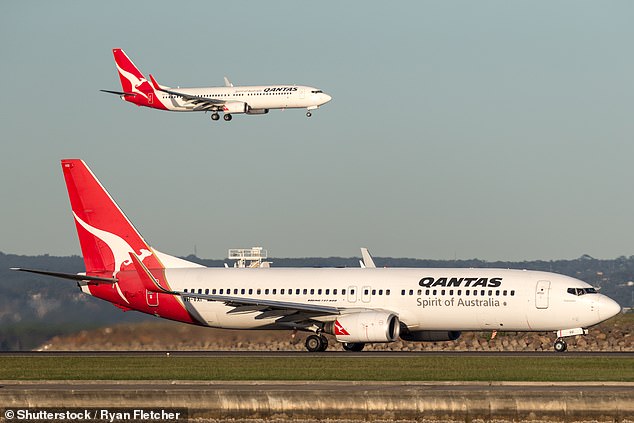 Eine Qantas-Sprecherin sagte: „Nimmt die Sicherheit und das Wohlergehen der mit uns reisenden Haustiere sehr ernst“ (Archivbild)