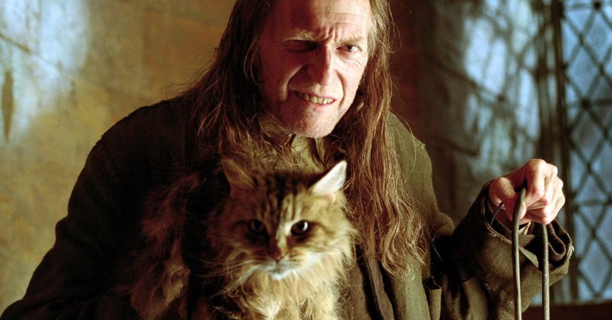 Arugs Filch und Mrs. Norris in Hogwarts
