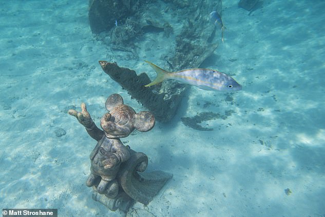 At Castaway Cay, Shanique explored a 'snorkel trail' and hunted for sunken Disney treasures (above)
