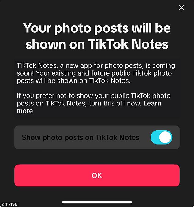 Bei einigen TikTok-Benutzern werden Popup-Benachrichtigungen angezeigt, die darauf hinweisen, dass ihre Fotos in einer neuen App angezeigt werden