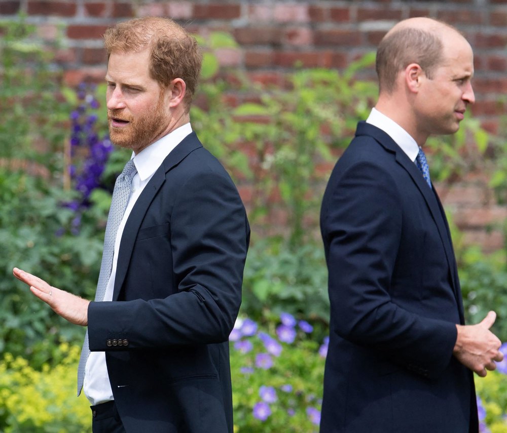 Prinz Harrys bittere Entfremdung von seinem älteren Bruder Prinz William könnte sich für den zukünftigen König als großes Problem erweisen.