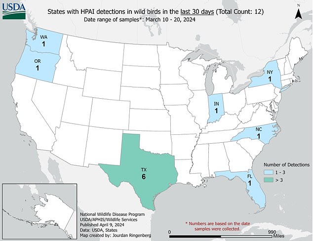 Die obige Karte zeigt Staaten, in denen im März Vogelgrippe in Wildschwärmen festgestellt wurde