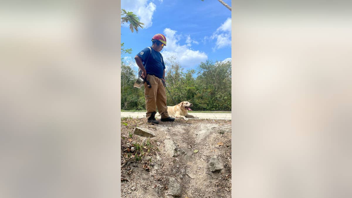 Zu den Such- und Rettungseinsätzen in Cozumel gehören auch Hunde, die versuchen, den Ort aufzuspüren "Brads" Pfad. 