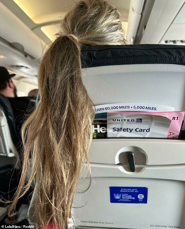 Haare, Haare!  Diese Person, die auf einem United-Flug geflogen ist, hat ihren Pferdeschwanz überall auf ihre Kopfstütze gelegt