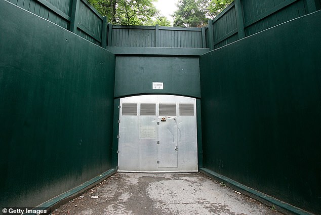 Diese Tür, an der lange Zeit ein Warnschild mit der Aufschrift „Hochspannung“ hing, verbarg den Westeingang des Bunkers.