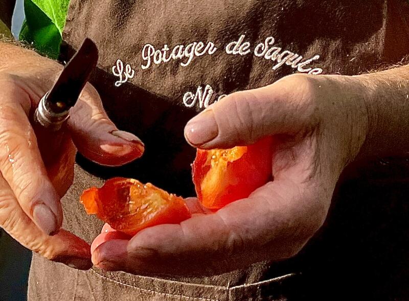Pierre Magnani von Le Potager de Saquier in Nizza, Frankreich, schneidet eine frisch gepflückte Kaki vor dem Kochkurs von Rosa Jackson.