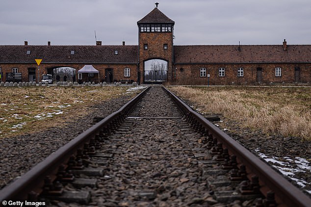 Über eine Million Menschen, hauptsächlich Juden, wurden in Auschwitz hingerichtet, geschlagen, gefoltert, verhungert oder vergast, während unzählige andere an Krankheiten oder Unterernährung starben