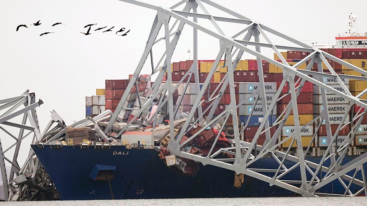 Schiff blieb nach Einsturz der Baltimore-Brücke stecken
