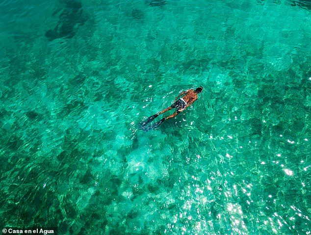 Gäste können im klaren karibischen Wasser rund um das Hostel schwimmen