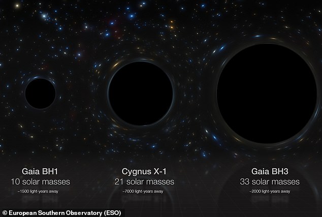 Dieses Bild vergleicht den neuen Fund mit zwei kleineren Schwarzen Löchern in unserer Galaxie.  Gaia BH1 ist das uns am nächsten gelegene Schwarze Loch, aber es hat nur die zehnfache Masse unserer Sonne (10 Sonnenmassen).  Mittlerweile ist Cygnus X-1 mit 21 Sonnenmassen doppelt so groß.  Gaia BH3 hat satte 33 Sonnenmassen, wird aber von Sagittarius A*, dem größten Schwarzen Loch in unserer Galaxie (rund 4 Millionen Sonnenmassen), immer noch völlig in den Schatten gestellt.