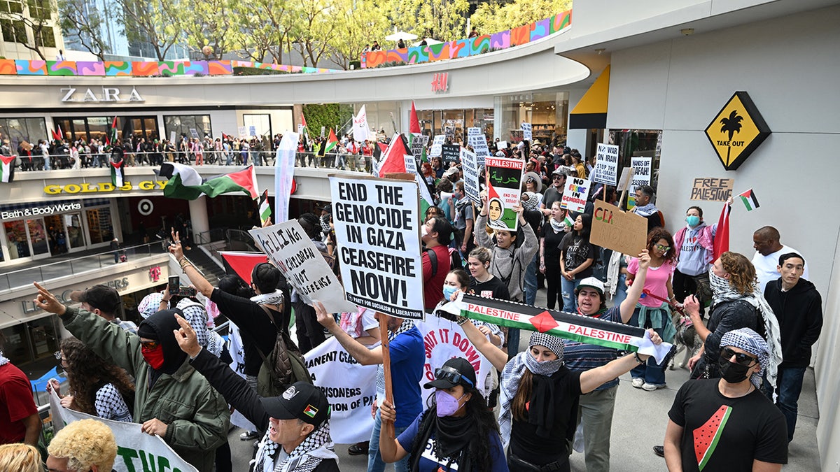 Antiisraelische Demonstranten im Einkaufszentrum in LA