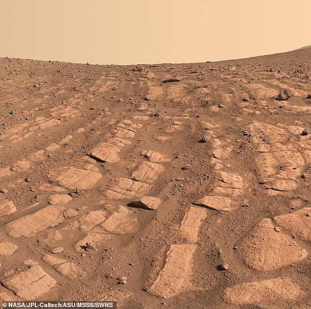 Der Marsrover Perseverance der NASA hat dieses Mosaik an einem Ort mit dem Spitznamen „Skrinkle Haven“ aufgenommen.  Wissenschaftler vermuten, dass diese Bänder vor langer Zeit durch schnell fließendes Wasser entstanden sein könnten.