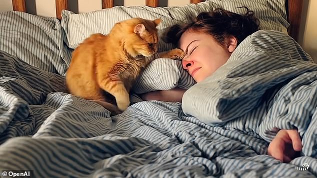Als Reaktion auf die Aufforderung „Eine Katze weckt ihren schlafenden Besitzer und verlangt Frühstück“ gab Sora diesen Film zurück