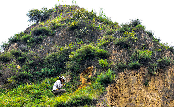 A woman crouches on a grassy hillside that rises up behind her. She's an archaeologist preparing sediment samples so they can be dated.
