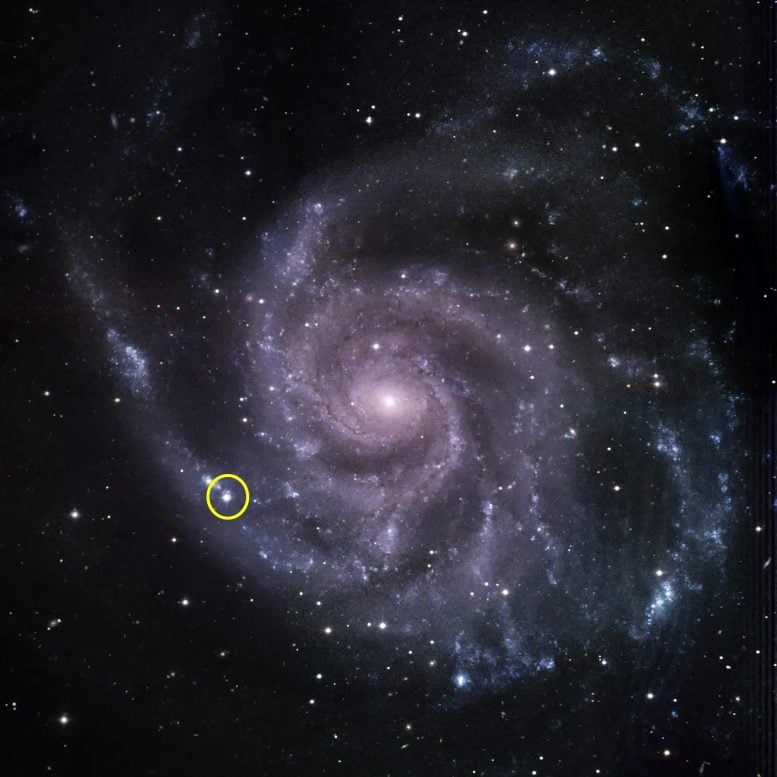 Pinwheel Galaxy Supernova 2023ixf