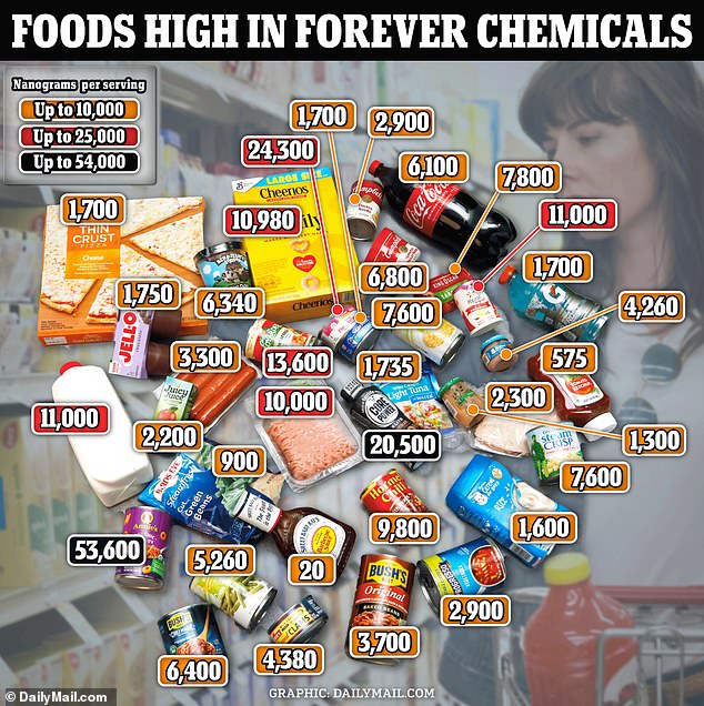 Forever-Chemikalien sind in zahlreichen Lebensmitteln enthalten, darunter BBQ-Sauce, Hot Sogs, Limonade und Suppen.  Diese Chemikalien können Fruchtbarkeitsprobleme und lebensbedrohliche Krankheiten wie Nieren- und Leberversagen und Krebs verursachen