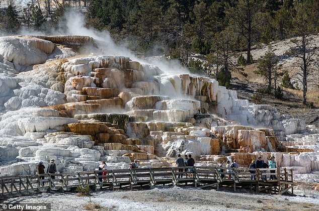 In Mammoth Springs im Yellowstone-Nationalpark können Sie in Echtzeit beobachten, wie Travertin entsteht, wenn kalziumreiches Wasser seine Mineralien an die Oberfläche ausscheidet.