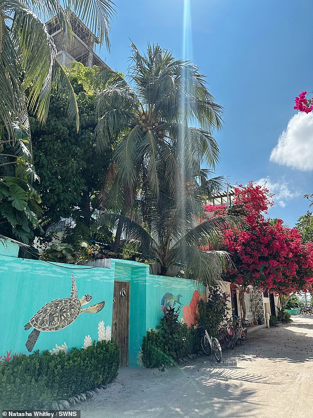 Natasha hat in Thulusdhoo wunderschöne Palmen, Blumen und ein Schildkröten-Wandbild fotografiert