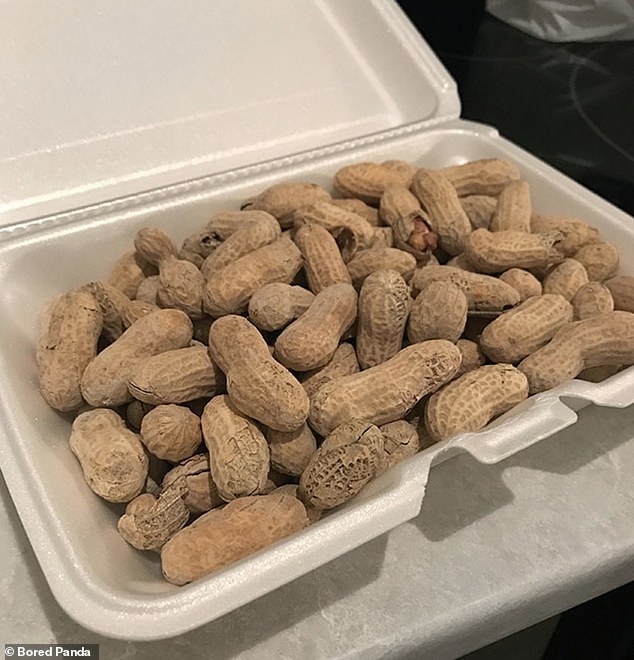 Eine Frau bat ihren Freund, ihr etwas Essen von der Bar nach Hause zu bringen, und er brachte einen großen Behälter mit Affennüssen mit