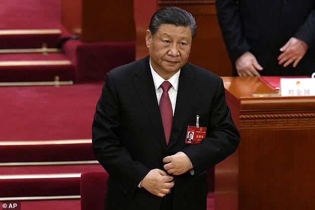 Der Bergbaumagnat behauptete, die kommunistische Regierung Chinas mache „bessere Arbeit als unsere Regierung“ (im Bild der chinesische Präsident Xi Jinping).
