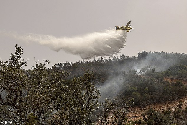 Ein Flugzeug wirft Wasser auf ein brennendes Feuer im Gebiet Gale de Cima in der Gemeinde Aljezur im Süden Portugals, 9. August 2023
