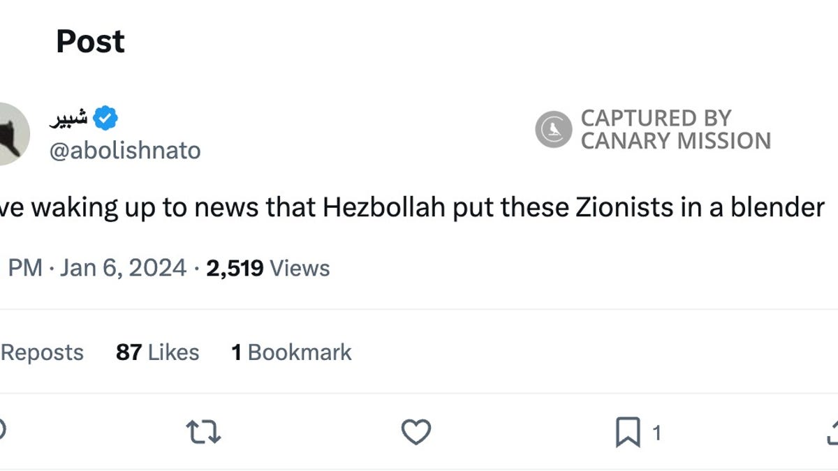 Rivzi-Tweet über die Hisbollah.
