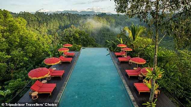 Dieses Jahr hat Tripadvisor eine Weltliste für die „besten nachhaltigen Hotels“ herausgebracht.  An der Spitze steht das Luxus-Dschungelresort Buahan a Banyan Tree Escape, Bali (oben)