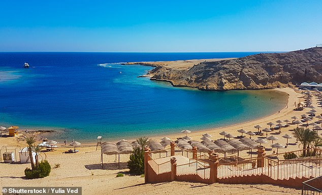 Die Familie wohnt an der Riviera des Roten Meeres, die, wie dieses Bild zeigt, mit türkisfarbenem Wasser aufwartet