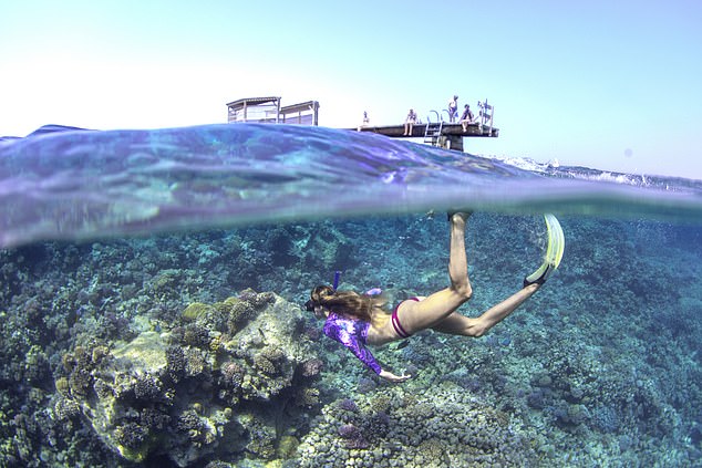 Die Korallenriffe des Roten Meeres gelten als eines der sieben Wunder der Unterwasserwelt mit Hunderten farbenfrohen Meeresbewohnern, schreibt Richard.  Im Bild: Ein nahegelegener Schnorchelplatz