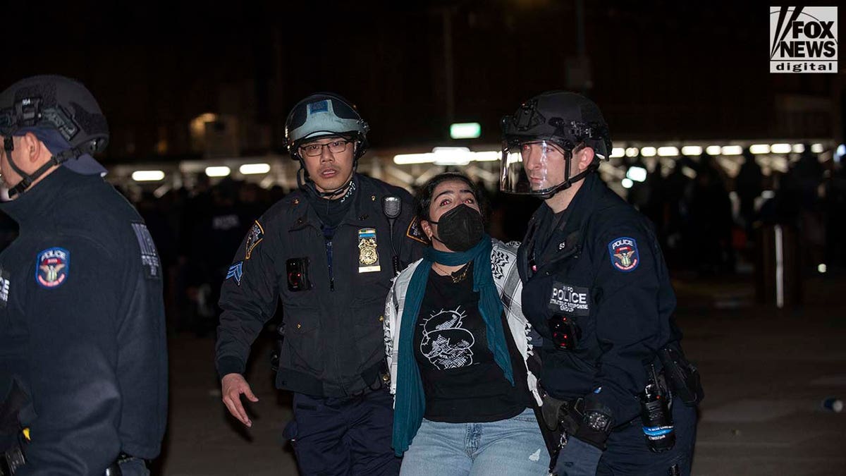 NYPD verhaftet studentische Demonstranten auf dem Campus der NYU. 