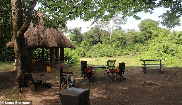 Pictured: The bush campsite where Laura spends the night in a two-man tent. Not far beyond the trees is the border with the Democratic Republic of the Congo