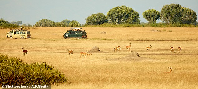 Kobs, a type of antelope, are among animals spotted in the park's golden grasslands