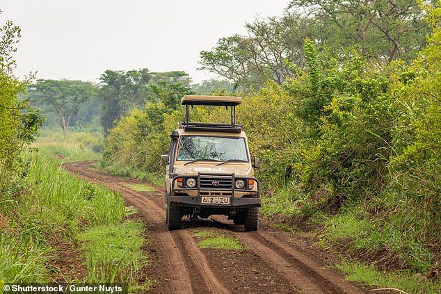 Laura travels in a Toyota Landcruiser similar to the one pictured here