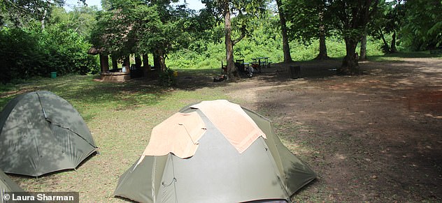Pictured: Laura's pitch tent (centre) at the wild camping site