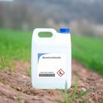 Rübenanbauer fordern Frankreich auf, Pestizide zuzulassen, die bereits in anderen europäischen Ländern verwendet werden