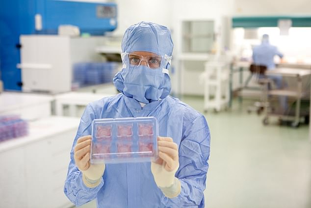 Ein Wissenschaftler hält Episkin hoch, die im Labor hergestellte künstliche Haut aus echten menschlichen Hautzellen.