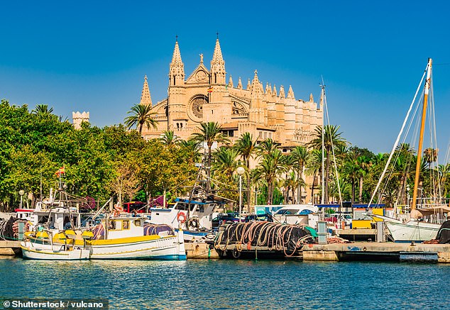 Die Skyline von Palma wird von der riesigen gotischen Kathedrale La Seu dominiert, die im Bild über dem Yachthafen voller Yachten thront