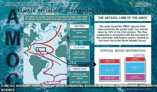 Die schwächer werdende Strömung – Abgrundschenkel genannt – ist Teil der Atlantic Meridional Overturning Circulation (AMOC), einem System von Meeresströmungen, die als „Förderband“ fungieren, um Wärme, Nährstoffe und Kohlendioxid über unsere Ozeane zu verteilen