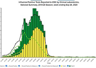 Grippesaison 2019 bis 2020, siehe oben