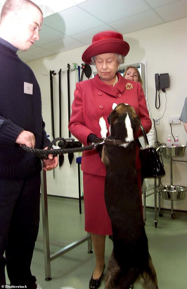 Bei der Wiedereröffnung des Blue Cross Animal Hospital im Jahr 2001 springt der Hund Mischief auf, um Königin Elizabeth zu begrüßen. Die Königin ist nicht besonders erfreut