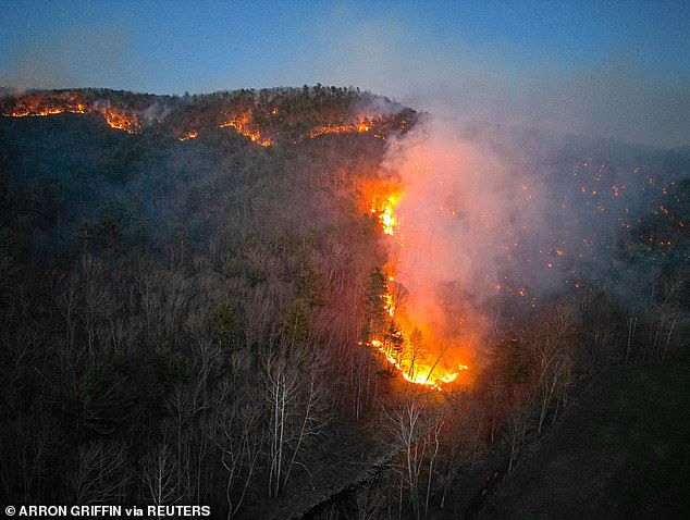 Die Westküste der USA ist in den letzten Jahren für Waldbrände bekannt, doch dieser Waldbrand in Virginia erstreckte sich Ende März dieses Jahres über mehr als 2.000 Hektar.