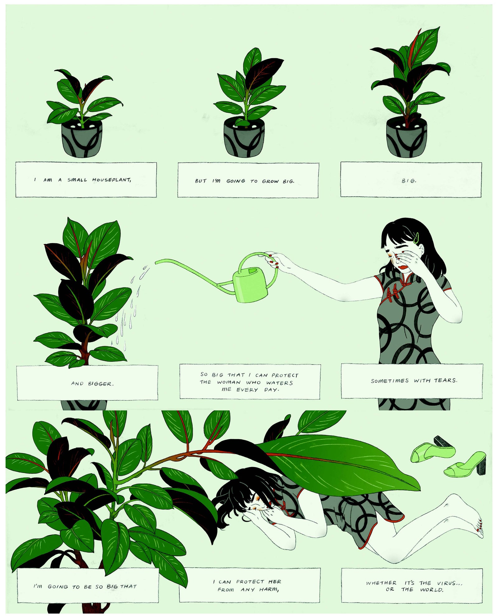 Ein Comic über die Pflege einer Zimmerpflanze.