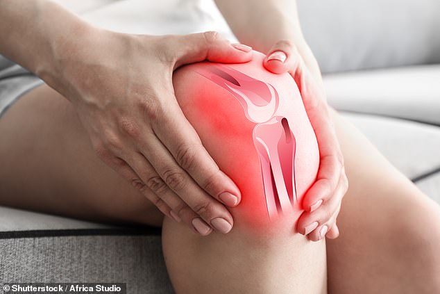 Etwa 10.000 Briten müssen jedes Jahr wegen Knorpelrissverletzungen behandelt werden – meist im Knie.  Hier reißt das robuste, aber flexible „Kissen“, das verhindert, dass die Knochen im Gelenk aneinander reiben, oft aufgrund starker Stöße bei sportlichen Aktivitäten (Archivbild)